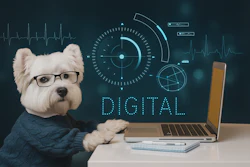 A implementação de soluções digitais no mercado pet pede por mudanças culturais e organizacionais.