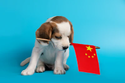 Cachorro Pet Food China