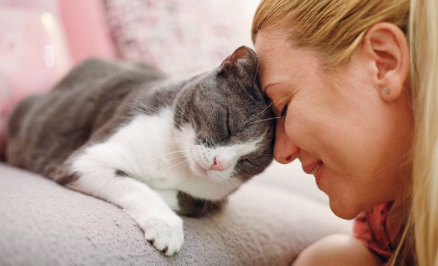 Darwin's Cat