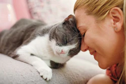 Darwin's Cat