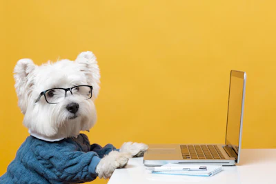 E Commerce Pet