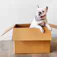 Entregas Rápidas Compras Online Pet