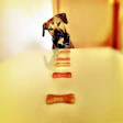 Dog looking eagerly at a line of colorful bone-shaped treats on a table