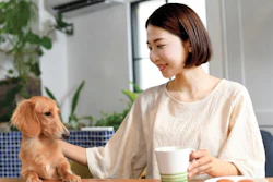 Mercado Pet Food China Istockcom c Cl Nh Sifg Z