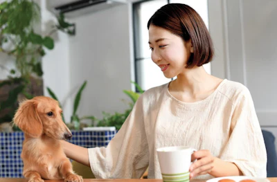 Mercado Pet Food China Istockcom c Cl Nh Sifg Z
