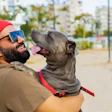 Setor Pet Food Argentino