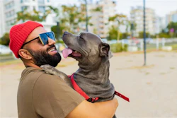 Setor Pet Food Argentino