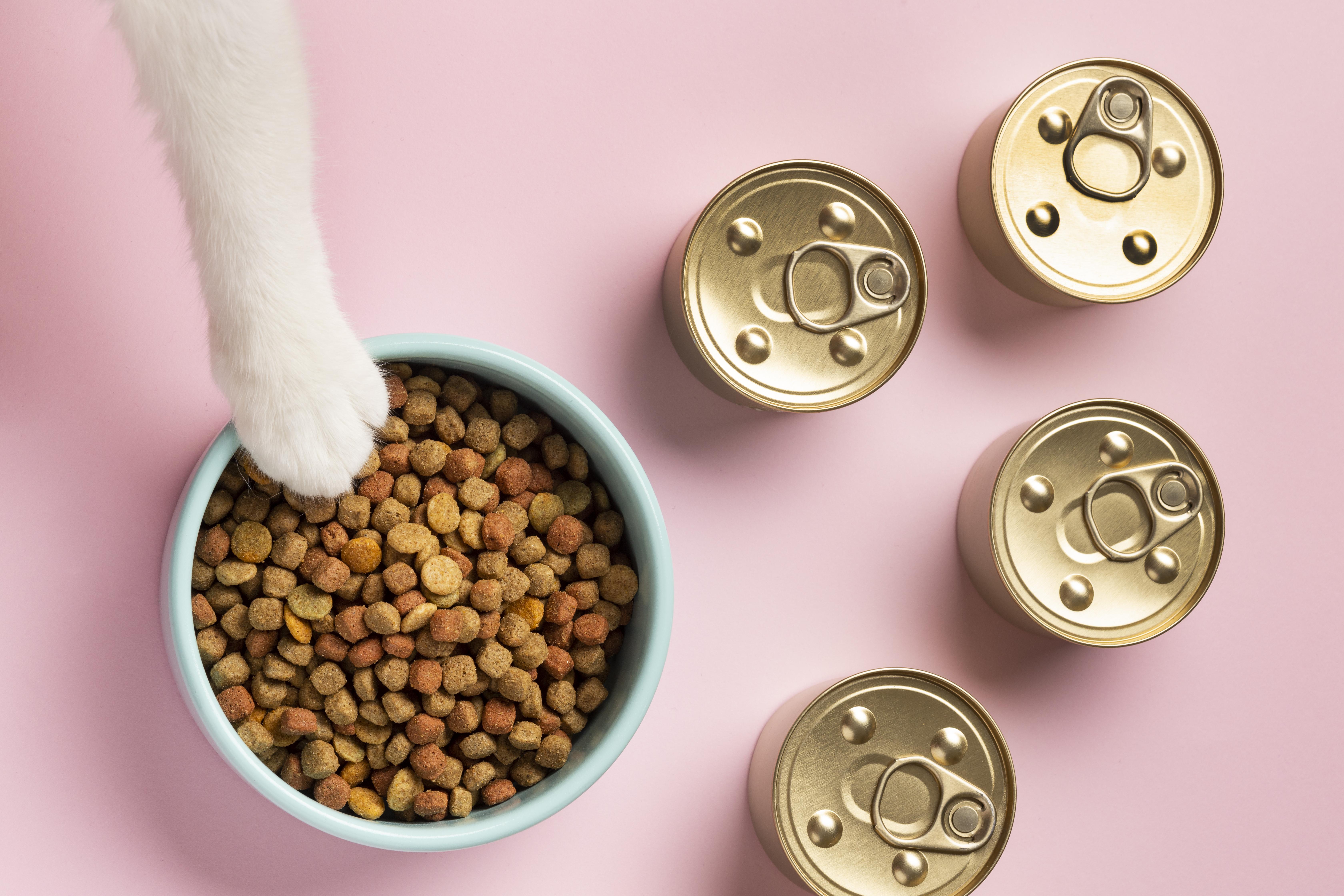 Combinar alimentos secos e &uacute;midos pode evitar problemas renais ao longo da vida dos gatos dom&eacute;sticos.