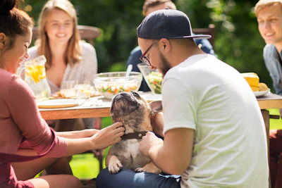 Humanização Dos Pets