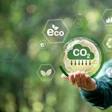 Pegada Ambiental Alimentos úmidos Alimentos Secos Alimentos Crus Para Cães