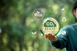 Pegada Ambiental Alimentos úmidos Alimentos Secos Alimentos Crus Para Cães