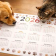 2026 calendar with paw prints, golden retriever and tabby cat on wooden floor