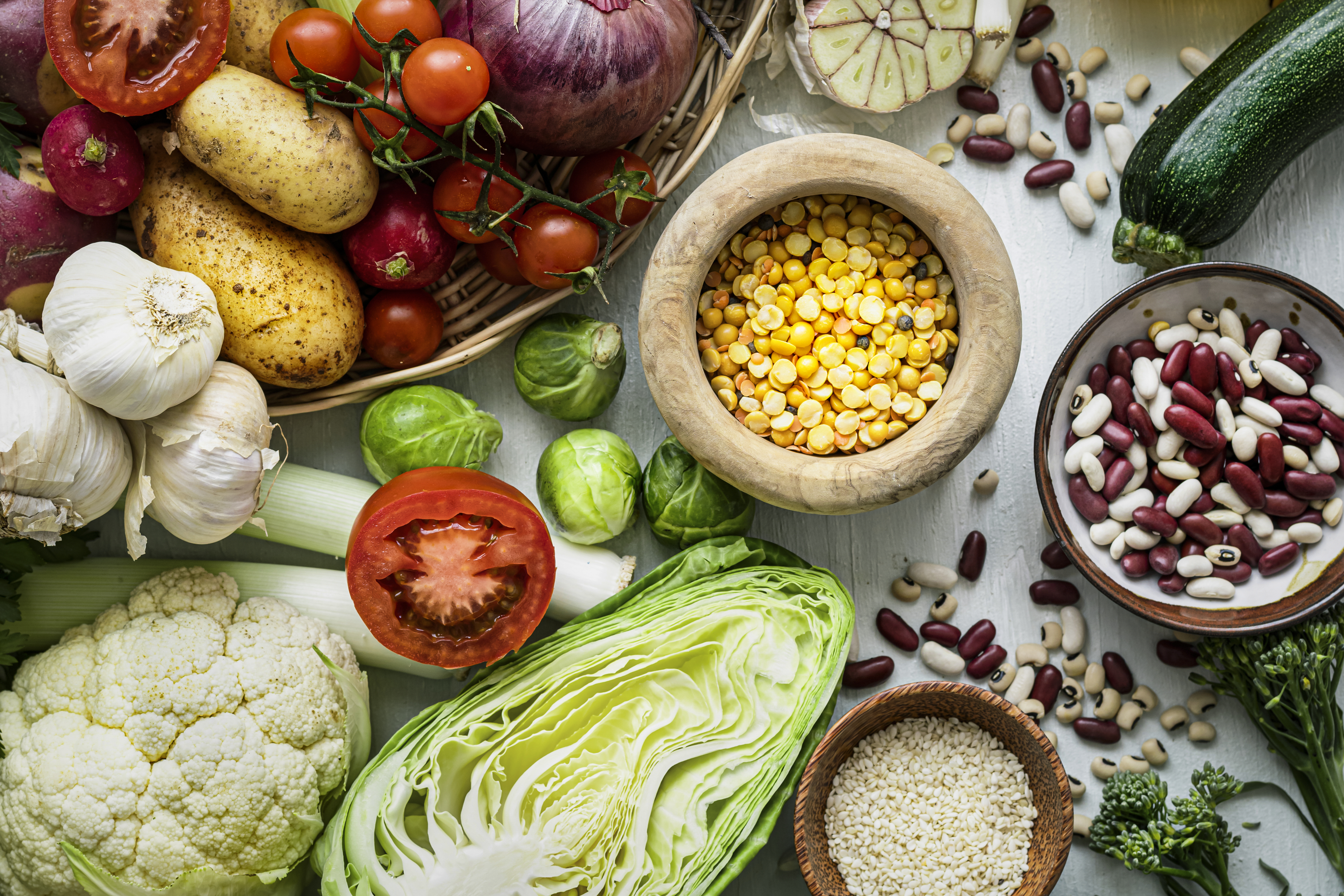 Dietas Veganas Para C&atilde;es