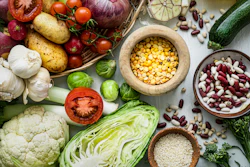 Dietas Veganas Para Cães