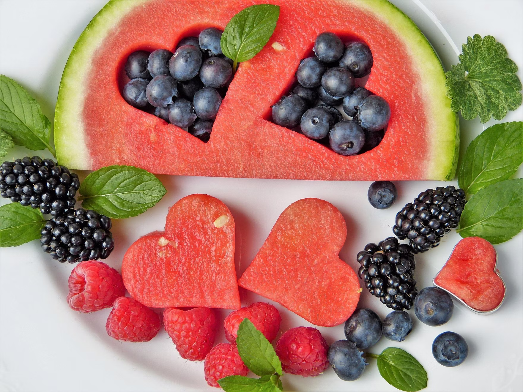 Ingredientes Funcionais Pet Food