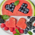Ingredientes Funcionais Pet Food