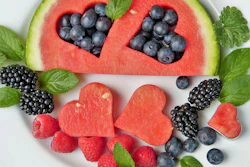 Ingredientes Funcionais Pet Food