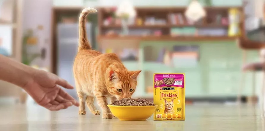 Nestl&eacute; Purina's new plant is designed to supply Brazil's growing pet population &mdash; estimated at 110 million pets &mdash; while also supporting exports across South America.