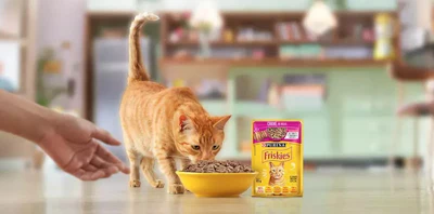 Nestl&eacute; Purina's new plant is designed to supply Brazil's growing pet population &mdash; estimated at 110 million pets &mdash; while also supporting exports across South America.