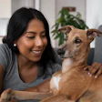 Pets América Latina