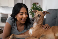 Pets América Latina