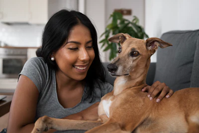 Pets Am&eacute;rica Latina