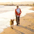 Pets E Evelhecimento Saudável Humanos