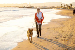Pets E Evelhecimento Saudável Humanos