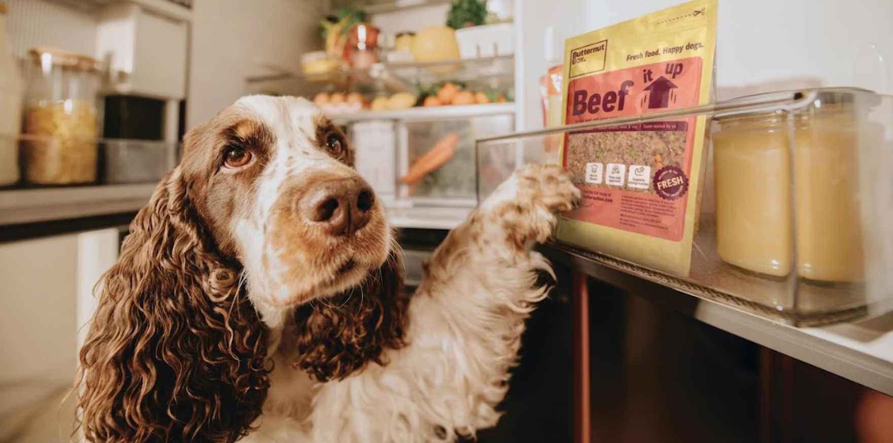Processamento Temperatura Pet Food Qu&iacute;micos