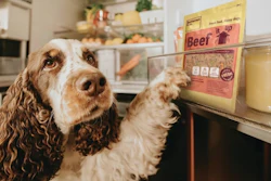 Processamento Temperatura Pet Food Químicos