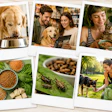 Collage Of Polaroid Photos Alternative Proteins Insect Vegan dw Ben Yl Cqw