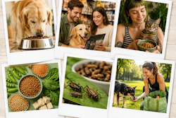 Collage Of Polaroid Photos Alternative Proteins Insect Vegan dw Ben Yl Cqw
