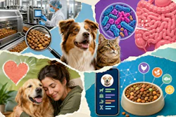 Inovações Em Alimentação Lideradas Por Pet Food