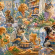 Personas Tutores De Pet Brasil