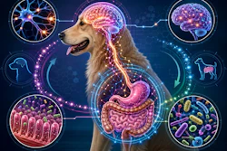 Posbióticos Acalmam Cães Via Eixo Intestino Cérebro