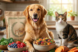 Antioxidants For Pet Food Market Report ac Y6 Akd5 Gm