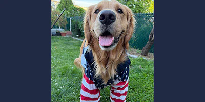 Beggin’ XI’s Top Dog, Hudson, from Guttenberg, New Jersey.