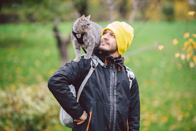 Bigstock Fotoliza Cute Gray Young Cat Dressed Le 398750891 d Nfc3oaw Tv