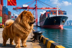 A Chow Chow Standing In A Port In China u8u J Ui Khe9