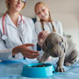 Dietas Veterinárias Terapêuticas Pets