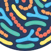 Anabiotics Biotics August 2026 o Lve Epk Oa F