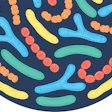Anabiotics Biotics August 2026 o Lve Epk Oa F