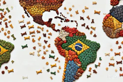 Dalle 2024 06 27 063329 A Map Of Latin America Made With Dog Kibble Arranged Like A Mosaic The Different Countries Are Outlined And Distinguishable By Variations In Kibble C ag5 Bg Lfxe C