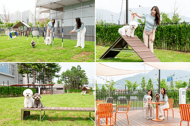 Daxue Consulting South Koreas Pet Industry Starfield Pet Park