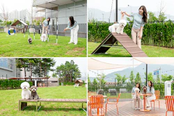 Modern pet park with people and dogs enjoying outdoor activities including agility training, socializing, and relaxation areas with urban backdrop