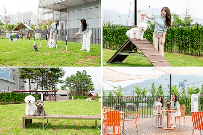 Daxue Consulting South Koreas Pet Industry Starfield Pet Park