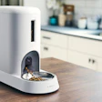 White automatic pet feeder with black bowl dispensing dry kibble on wooden kitchen counter