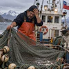 Fisherman on Chilean vessel mending nets with snowy mountains and cat nearby