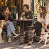 Three people and three dogs enjoying conversation at an outdoor sidewalk café on a sunny day