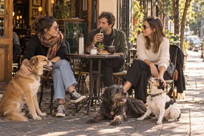 Three people and three dogs enjoying conversation at an outdoor sidewalk café on a sunny day